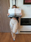 Mean Girl Cargo Pants
